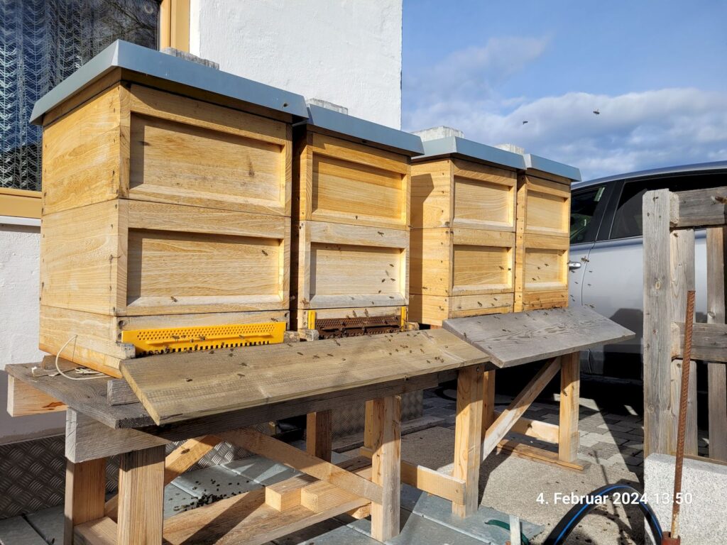 vier Bienenbeuten (Holzzargen)